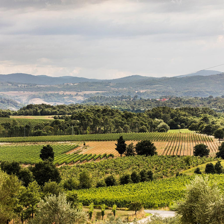 Tenuta sette ponti - Degustazione di vino esclusiva