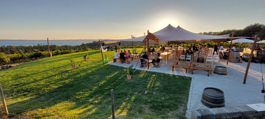 Cantine Capitani - Tour e degustazione