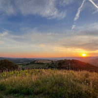 Fattoria La Maliosa - Picnic su Skydeck con vista a 360° - WINERIES