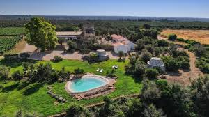 Masseria Fano Relais & Wine - Degustazione & Light Lunch