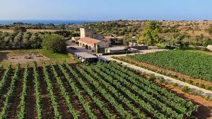 Masseria Fano Relais & Wine - Degustazione & Light Lunch