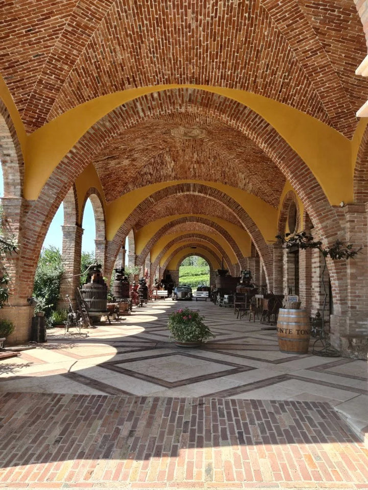 Az.Agr. Montetondo - PERCORSO CLASSICO Veneto Az.Agr. Montetondo