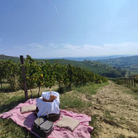 Oddone Prati - Pic Nic nel vigneto - Piemonte