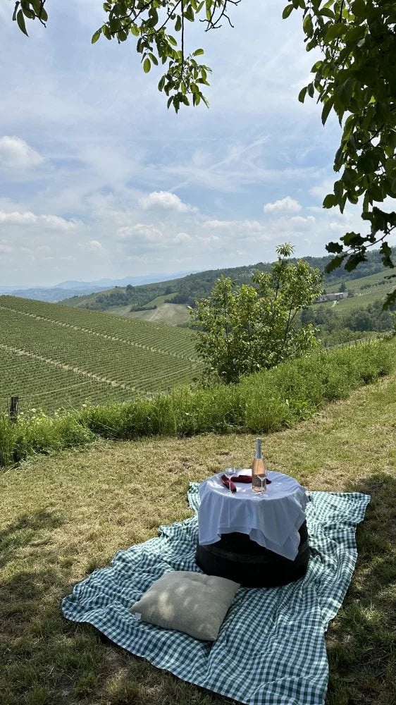 Oddone Prati - Pic Nic nel vigneto - Piemonte