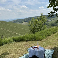 Oddone Prati - Pic Nic nel vigneto - Piemonte