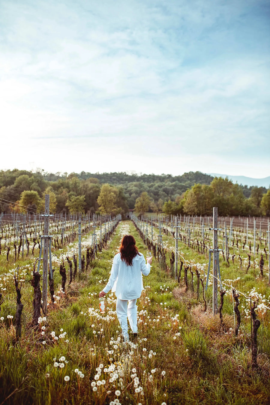 Podere dei Folli - La rivincità del Rosè - Veneto