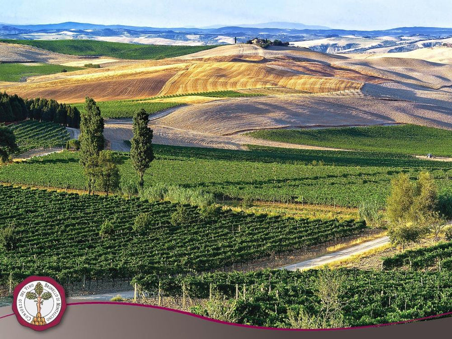 Col d'orcia - Degustazione di vino esclusiva