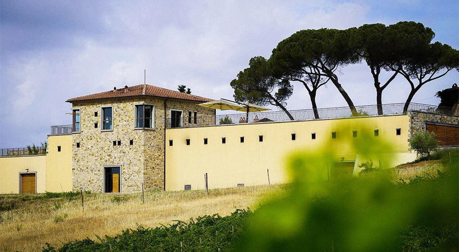 Tenuta La Massa - Degustazione di vino esclusiva