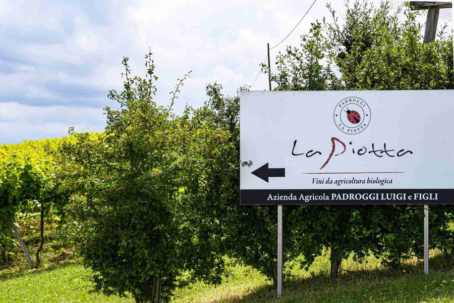 La Piotta - Degustazione 4 Vini