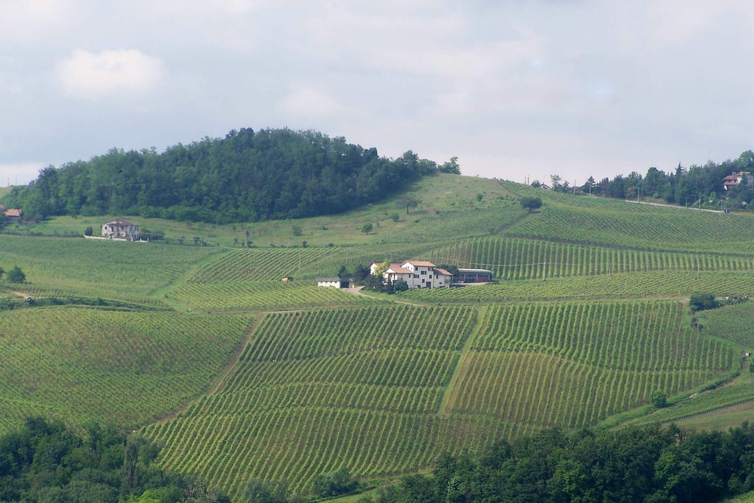 La Piotta - Degustazione 4 Vini