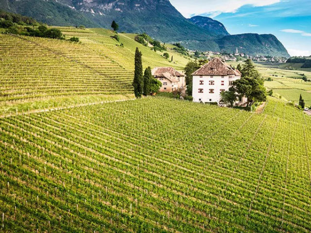 Alois Lageder - Degustazione di vino esclusiva