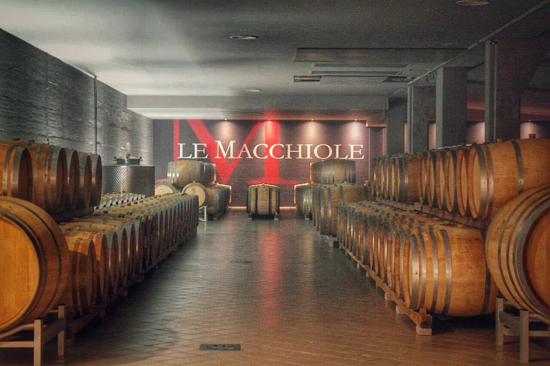 Le Macchiole - Degustazione di vino esclusiva