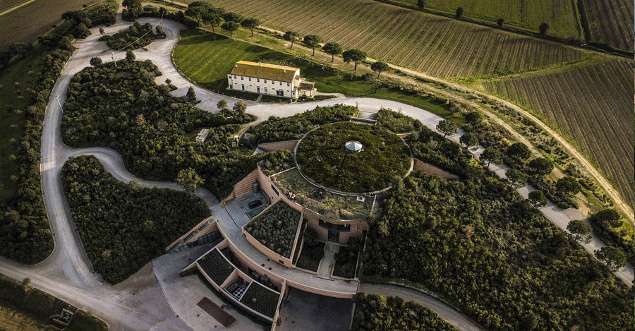 Tenuta Antinori Le Mortelle - Degustazione di vino esclusiva