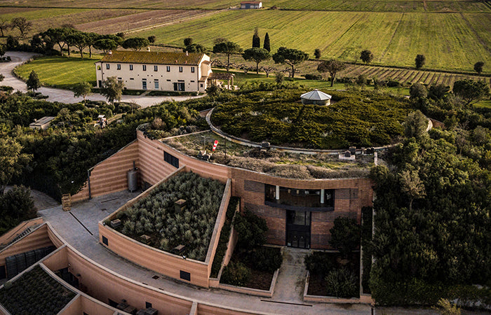 Tenuta Antinori Le Mortelle - Degustazione di vino esclusiva