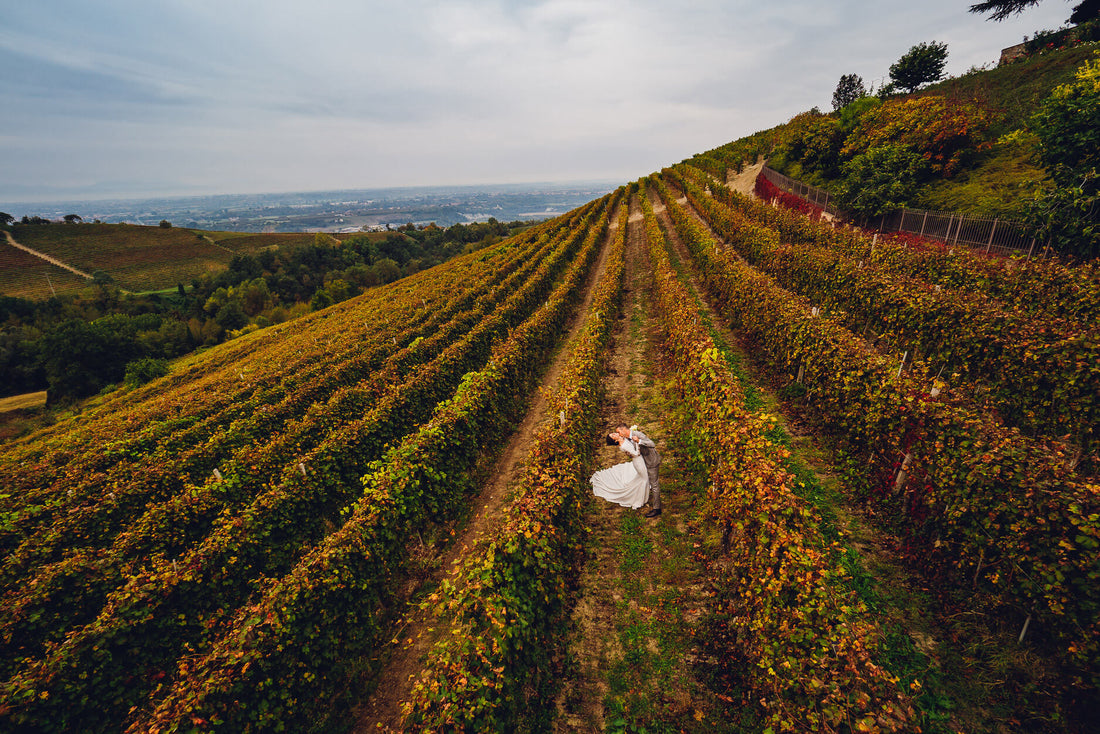 Cantine Luzi Doandei - Degustazione vini Top Piemonte - Piemonte