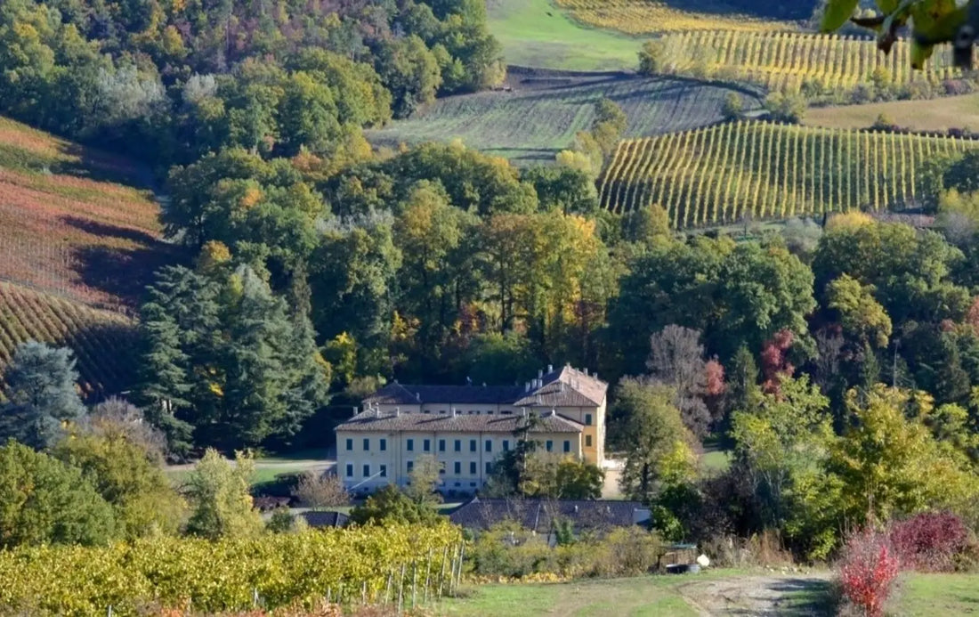 Conte Vistarino - Degustazione in magnum - Lombardia