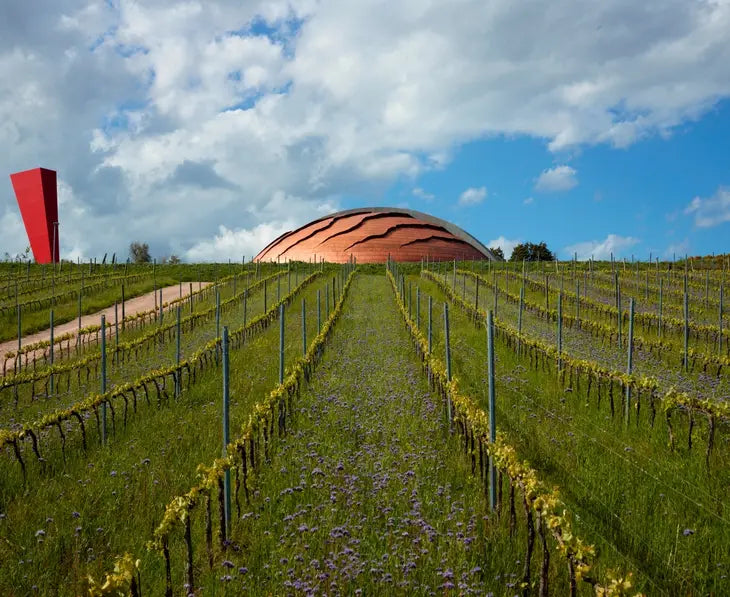 Soggiorno & Degustazione in Wine Resort - Umbria Umbria Umbria