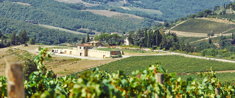 Tenuta La Massa - Degustazione di vino esclusiva