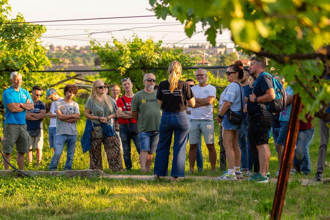Az. Agricola Gianluca Fugolo - Degustazione "Viaggio in Valpolicella" Veneto Az. Agricola Gianluca Fugolo