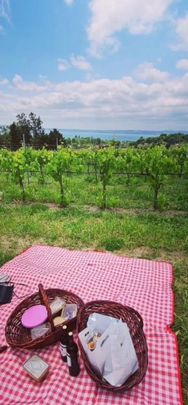 Cantine Capitani - Pic Nic Lazio Cantine Capitani