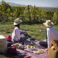 Feudi di San Gregorio - Pic Nic in Cantina