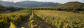 Colline del vento - Pranzo in vigna