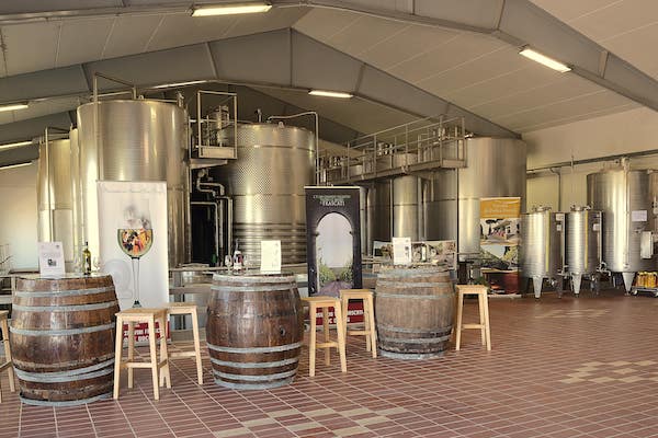 Tenuta di Pietra Porzia - Esperienza Old Vintage Lazio Tenuta di Pietra Porzia
