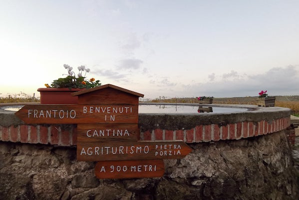 Tenuta di Pietra Porzia - Esperienza Old Vintage Lazio Tenuta di Pietra Porzia