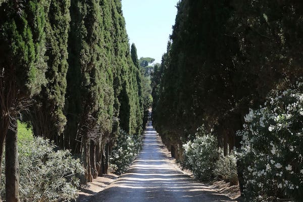 Tenuta di Pietra Porzia - Esperienza Old Vintage Lazio Tenuta di Pietra Porzia