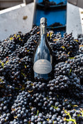 Cantina Bel Colle - Percorso Nebbiolo Plus