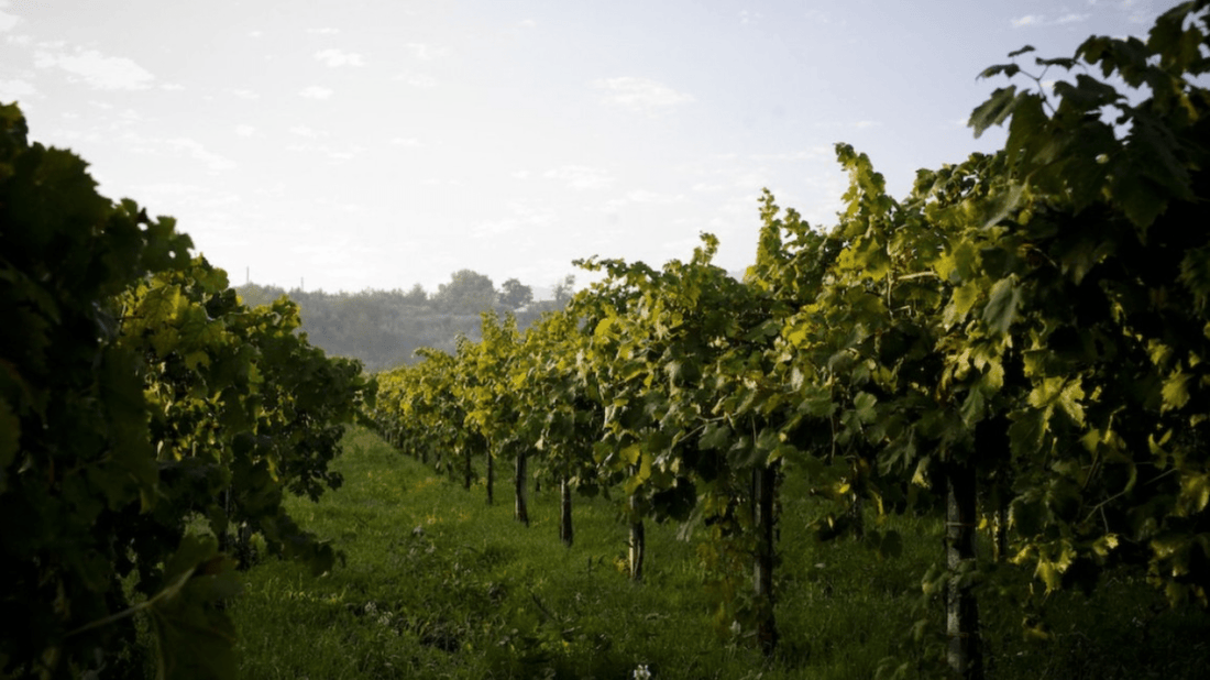 Casale Mattia - Aperitivo al tramonto - Lazio