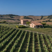 Filodivino Wine Resort - Cena in Veranda