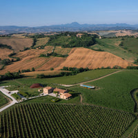 Filodivino Wine Resort - Cena in Veranda