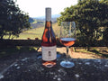 Travignoli - Tasting with view