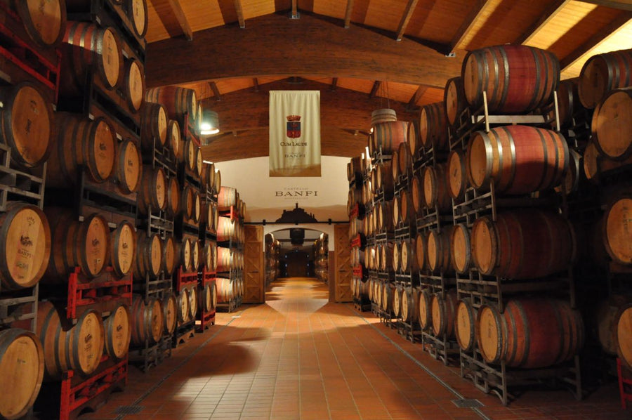 Castello Banfi - Degustazione di vino esclusiva