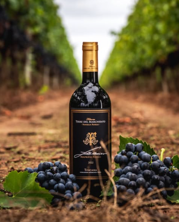 Terre del Marchesato - Degustazione Classic Toscana Terre del Marchesato