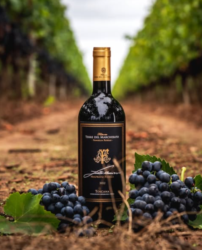 Terre del Marchesato - Degustazione Classic Toscana Terre del Marchesato