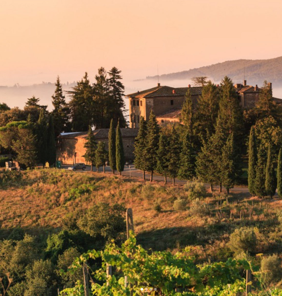 Castelvecchi - Degustazione sensoriale