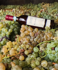 IViti - Degustazione classica