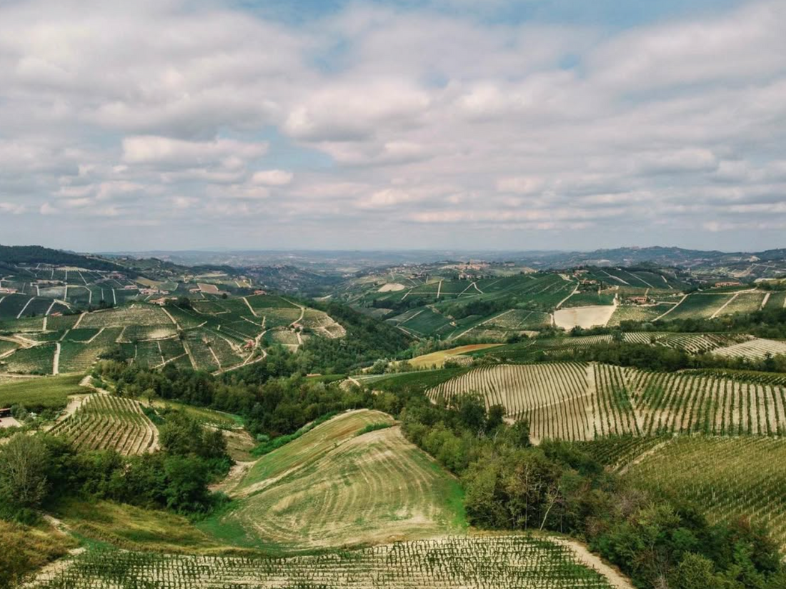 Agriturismo La Torricella - Pranzo/ Cena con degustazione Piemonte Agriturismo La Torricella