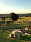 Tenuta dei Mori - Soggiorno 2 notti e Degustazione - 