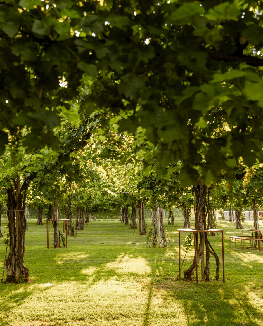 Cà di Rajo - Classic Wine Tour Veneto Cà di Rajo