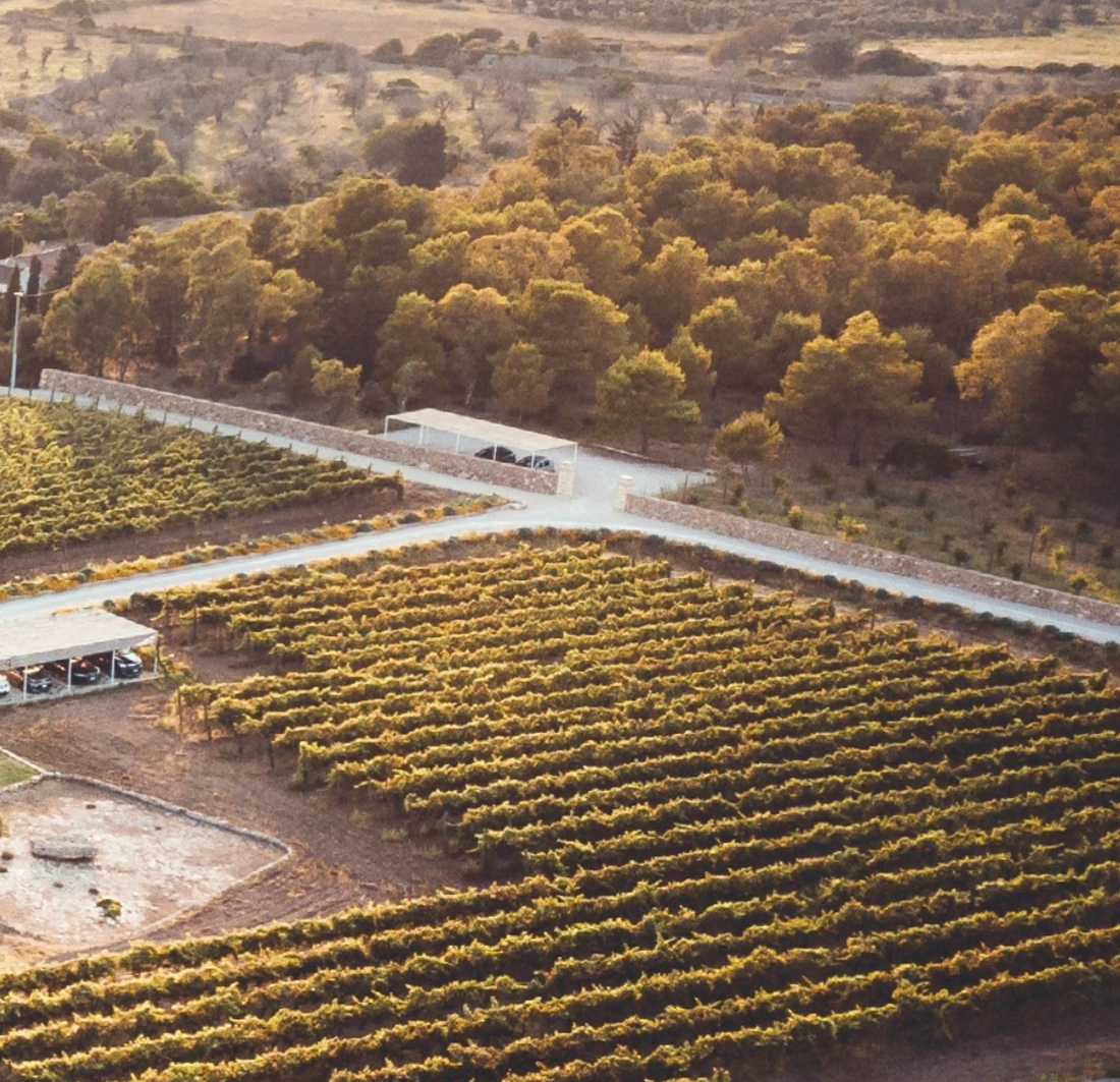 Masseria Fano Relais & Wine - Family suite soggiorno e degustazione Puglia Masseria Fano Relais & Wine