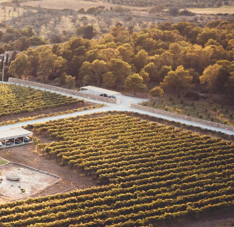 Masseria Fano Relais & Wine - Family suite soggiorno e degustazione Puglia Masseria Fano Relais & Wine