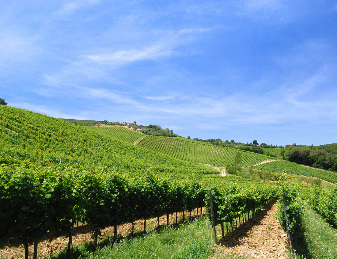 Az.agr Palagetto - Light Lunch Tasting “Ad Hoc San Gimignano” Toscana Az.agr Palagetto