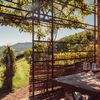 Scarpa Winery - Le Langhe secondo Scarpa