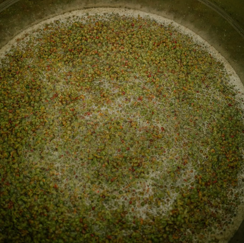 Pietro17 - Degustazione Classica Marche Vicari Vini