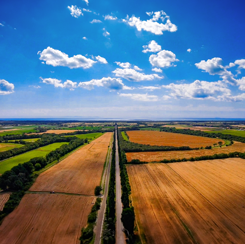 Terre del Marchesato - Degustazione Classic Toscana Terre del Marchesato