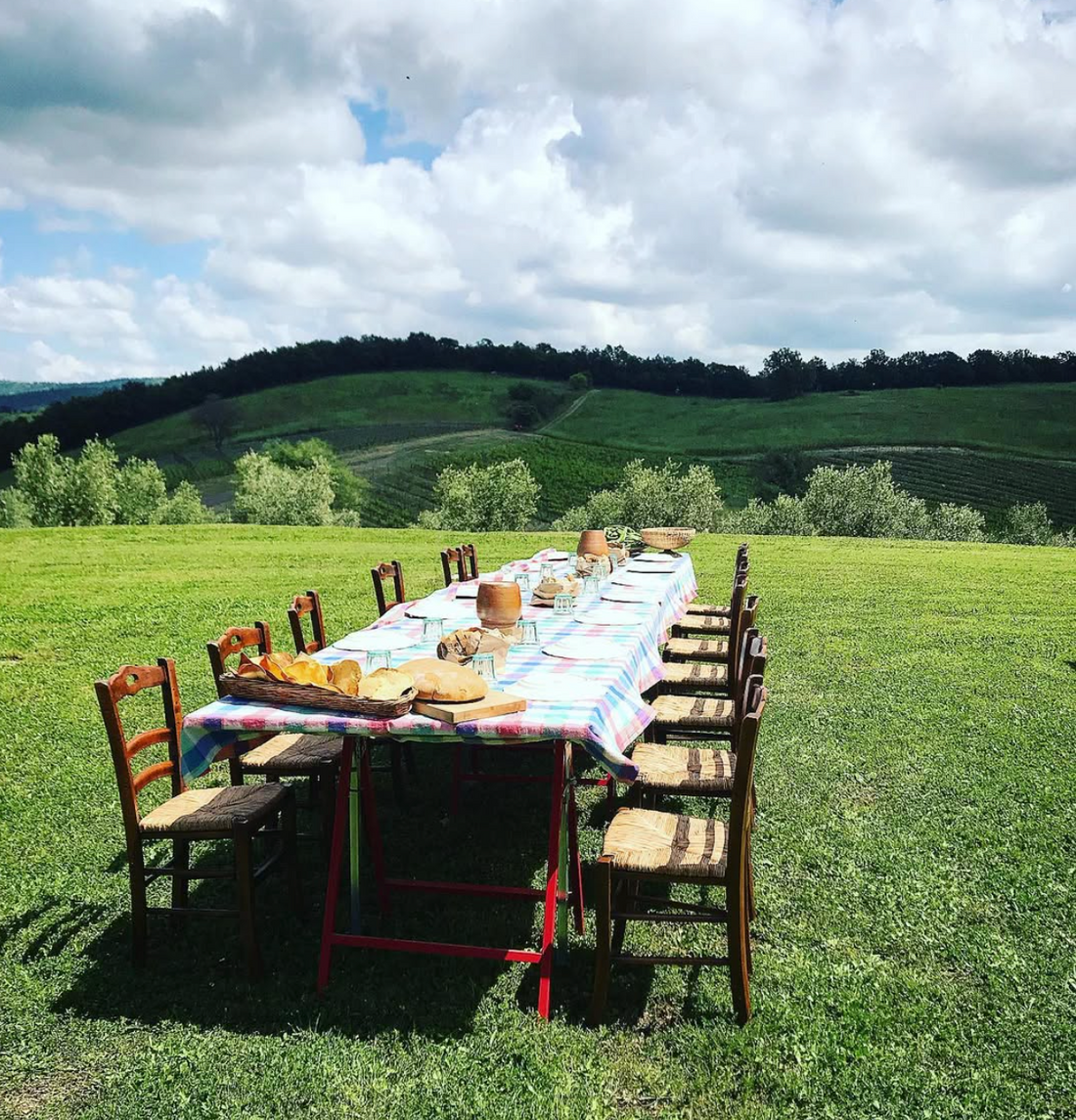 Il Quinto - Light Tasting Toscana Il Quinto