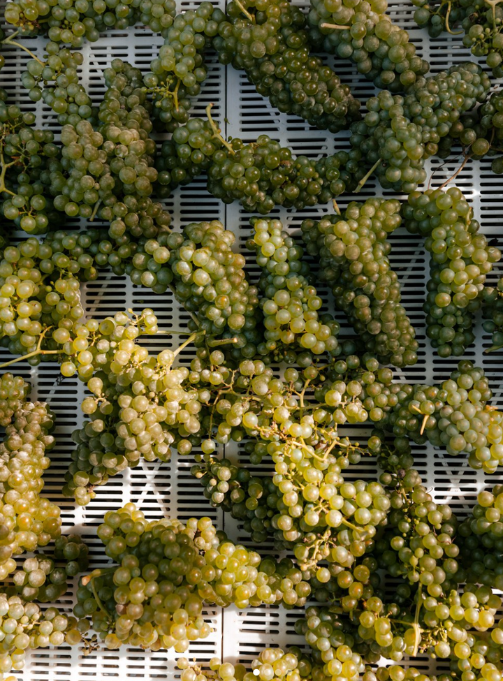 Cà di Rajo - Classic Wine Tour Veneto Cà di Rajo